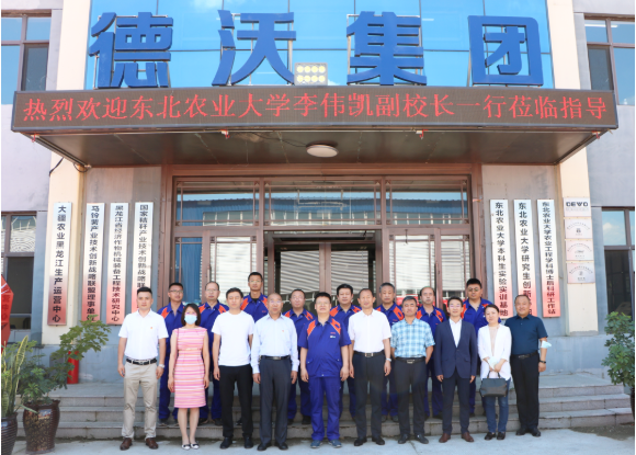 1667783381984846.png image.png