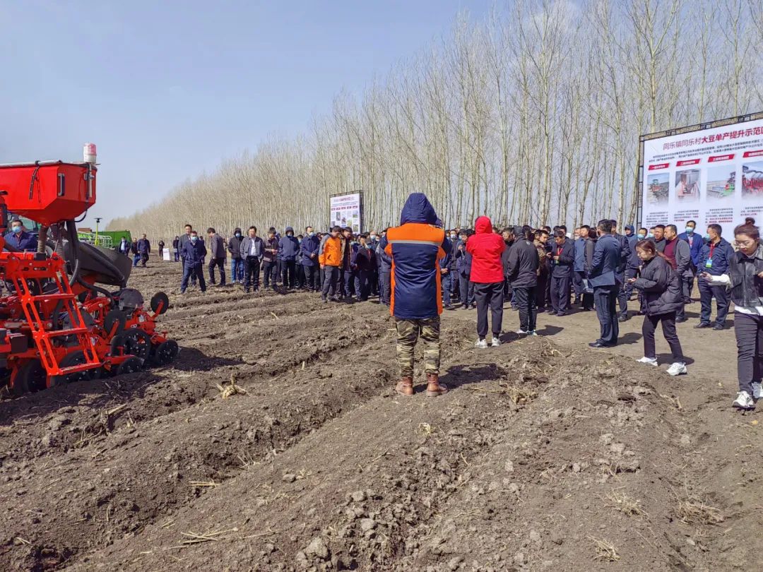 1684289011303308.jpg 01.jpg