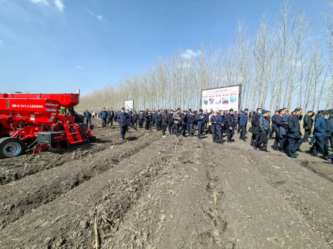 1684289019315240.jpg 02.jpg